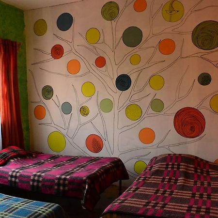 Chill Hostel Meksika Oda fotoğraf