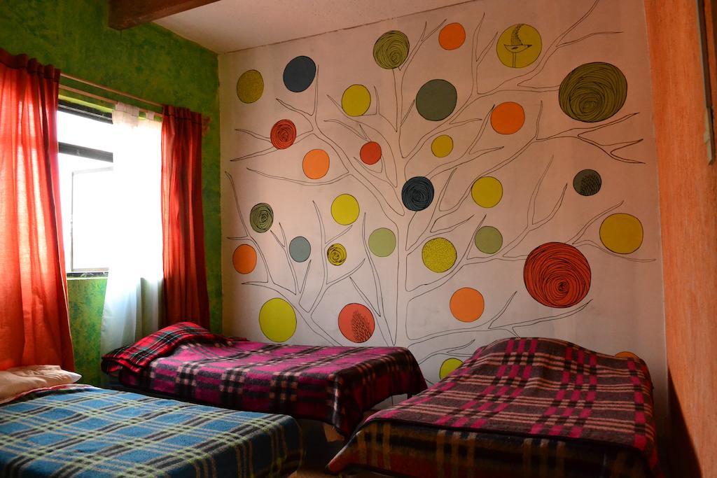 Chill Hostel Meksika Oda fotoğraf